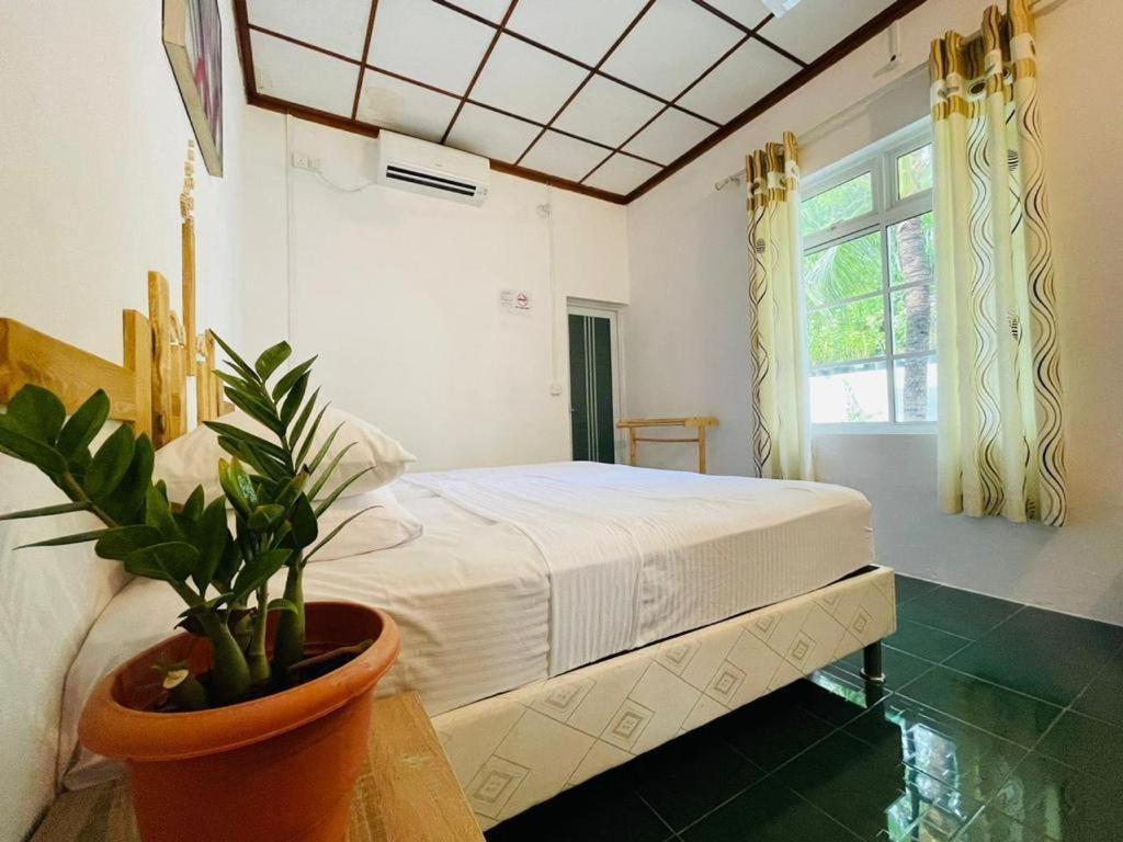Fehendhoo Stay Екстериор снимка